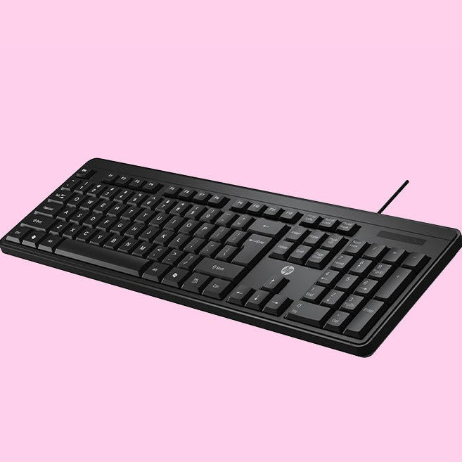 HP K100 Wired Keyboard USB Plug & Play Setup, LED Indicators