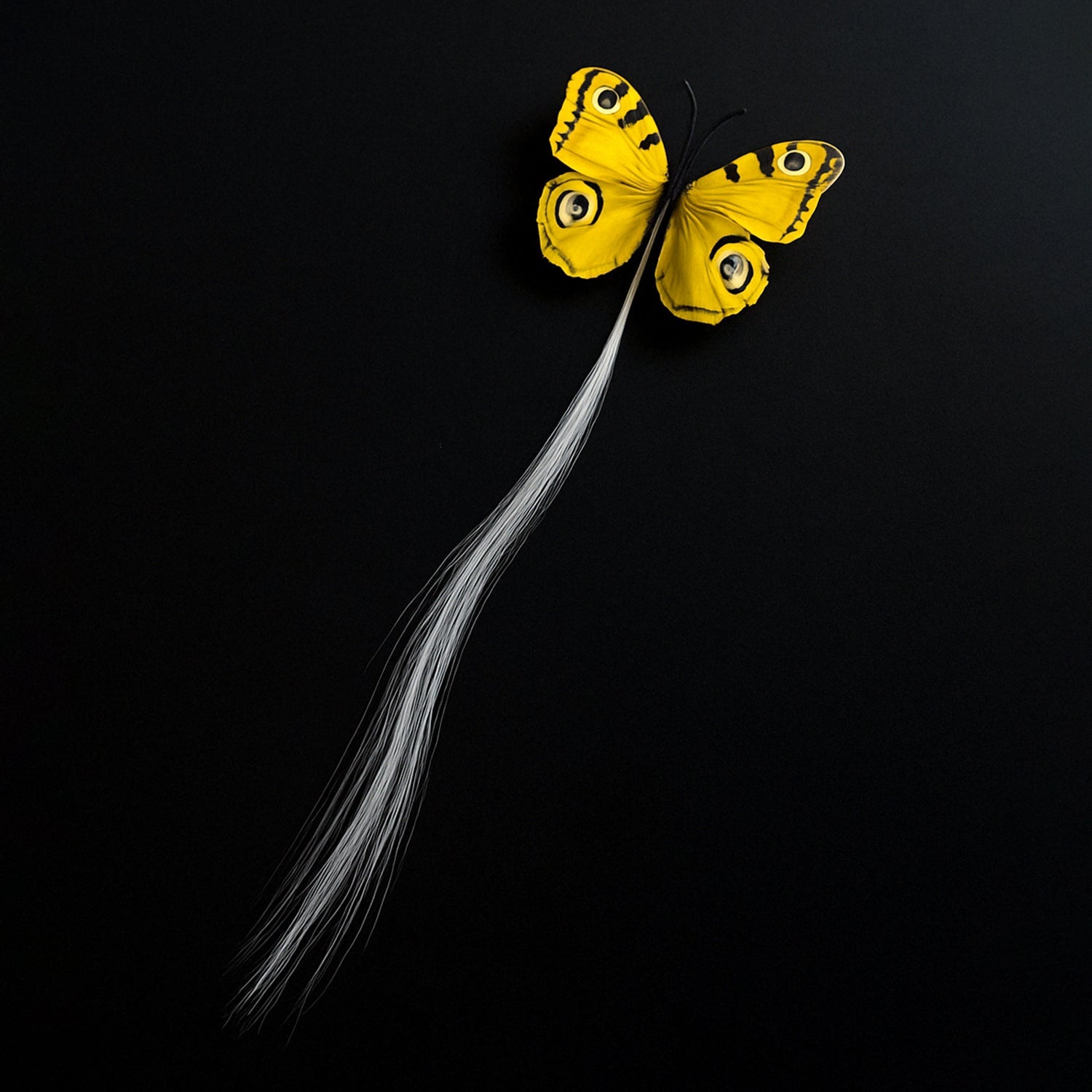 Night Bloom Butterfly Hair Clip