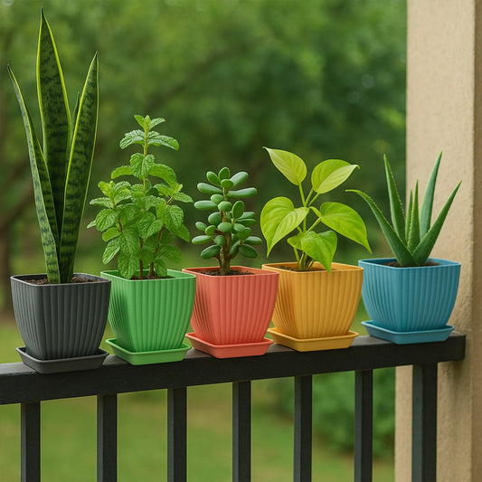 5 Pcs Plastic Square Planter Pots for Indoor
