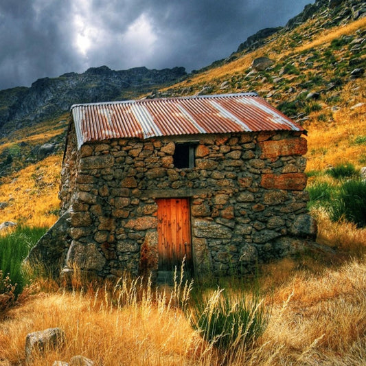 Old Age Home Mobile Case Cover