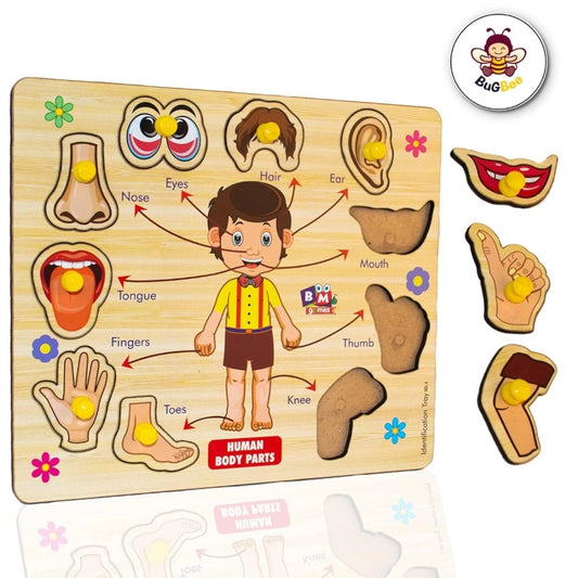 Wooden Puzzle - Body parts | Wood | Educational Toys | 3+ Years