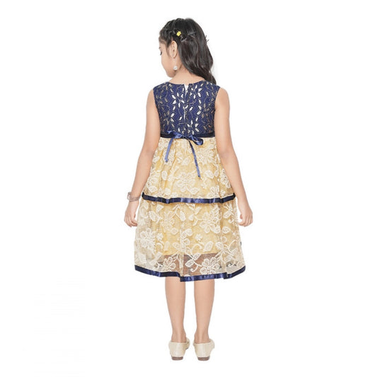 Generic Girl's Fancy Net Net Sleeve Less Round Neck Dress (Blue)